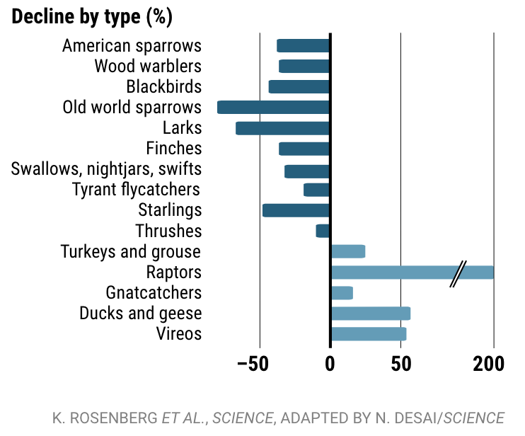Screenshot of a bar chart from Science magazine showing decline by type of bird, relevant statistics duplicated in text.